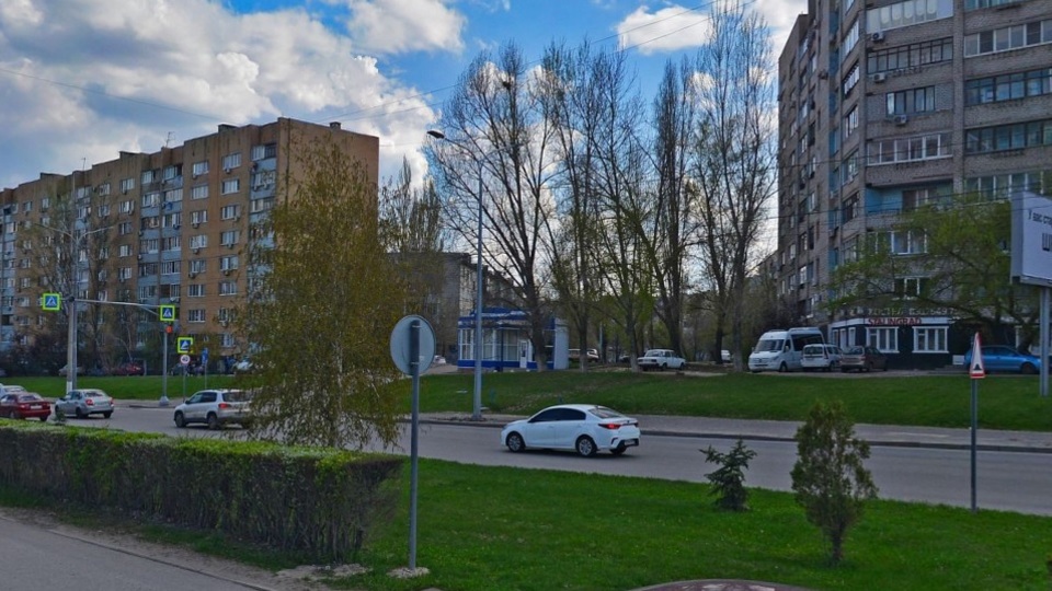В центре Волгограда выявлена незаконная опиловка молодых берез